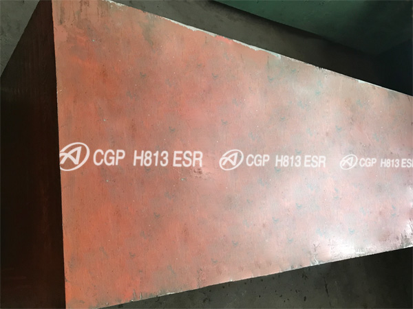 CGP H813 ESR