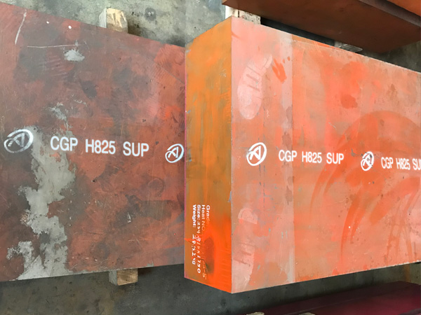 CGP H825 SUP